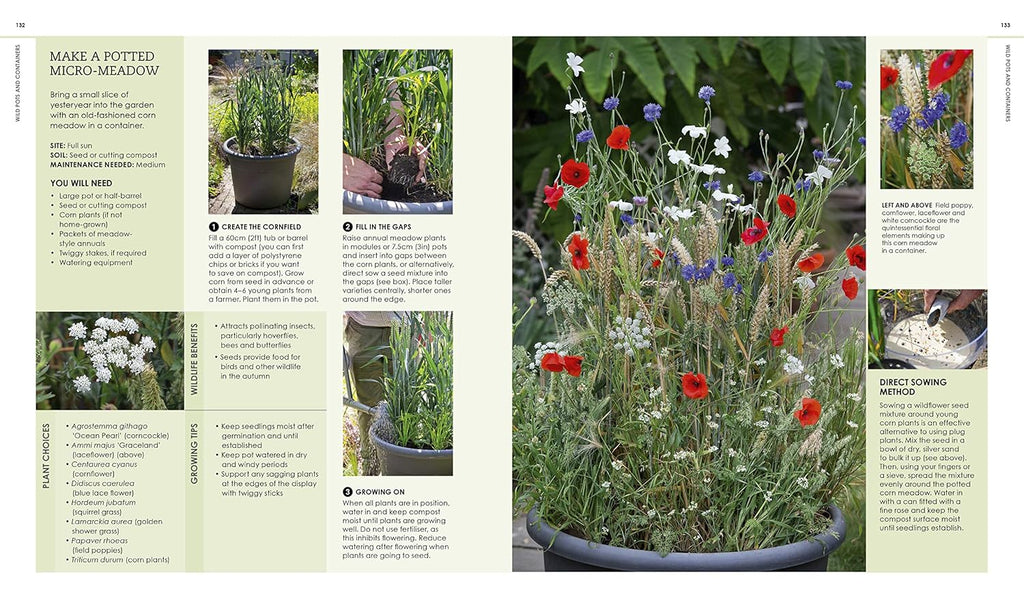 New Wild Garden: Natural-style planting and practicalities
