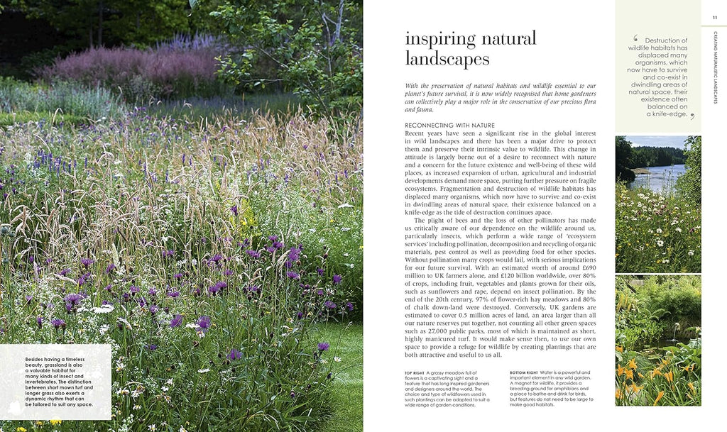 New Wild Garden: Natural-style planting and practicalities