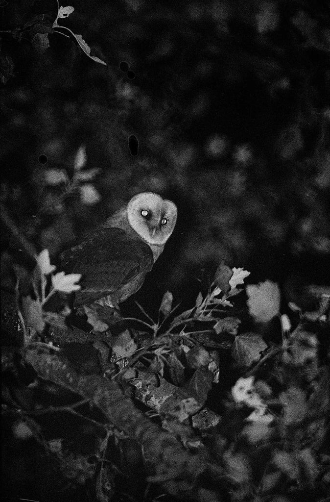 Blank Notes - Marshall To