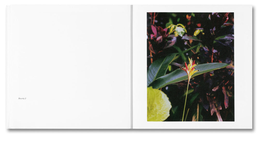 Floral design with green leaves and a yellow flower on a white background