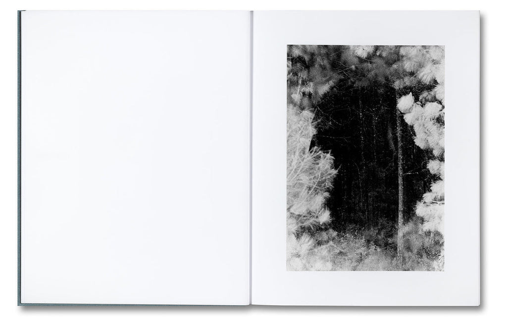 Distribution - Daniel Shea *Signed