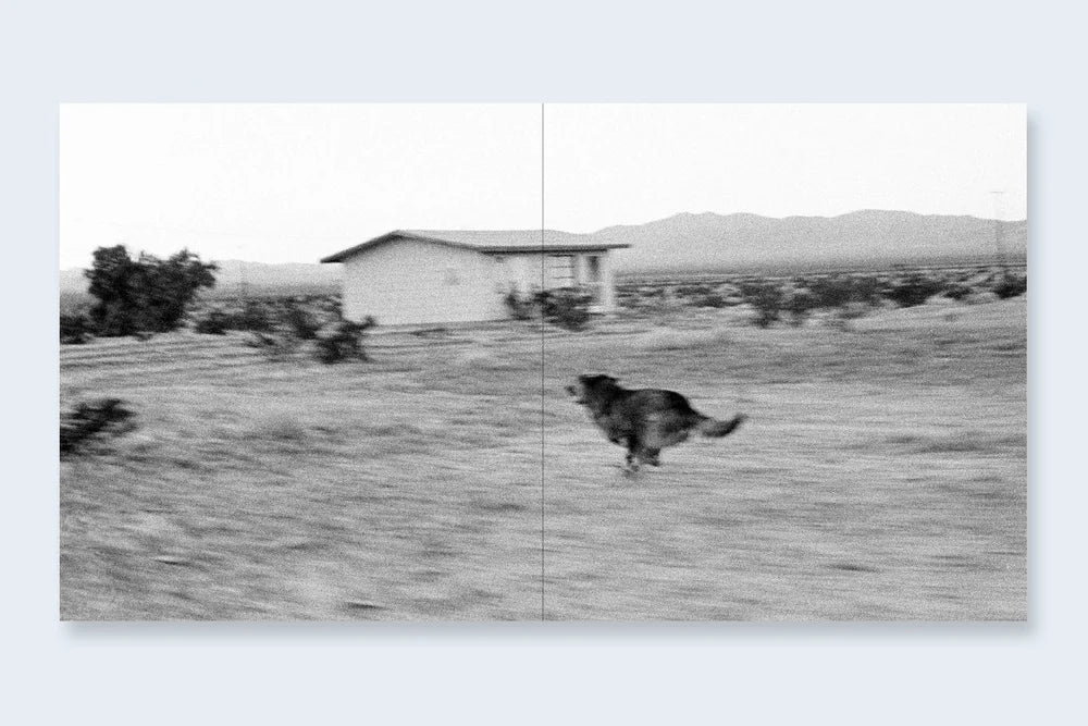 John Divola: Dogs Chasing My Car in the Desert