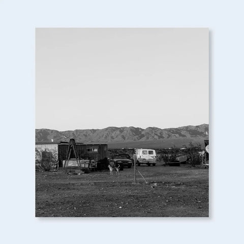 John Divola: Dogs Chasing My Car in the Desert