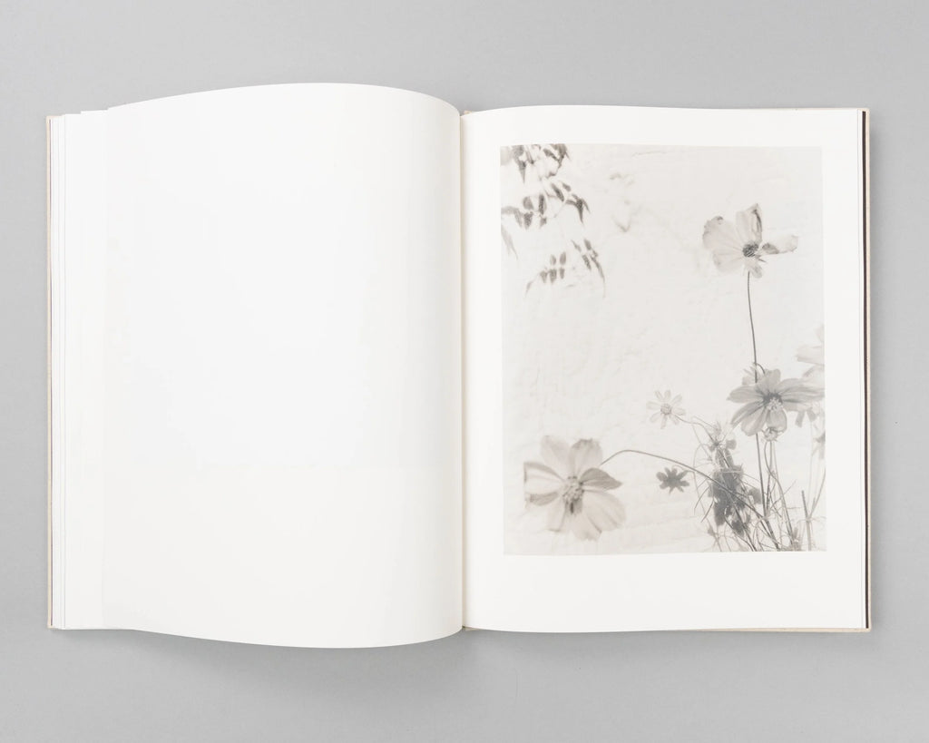 GUMSUCKER - Rory King