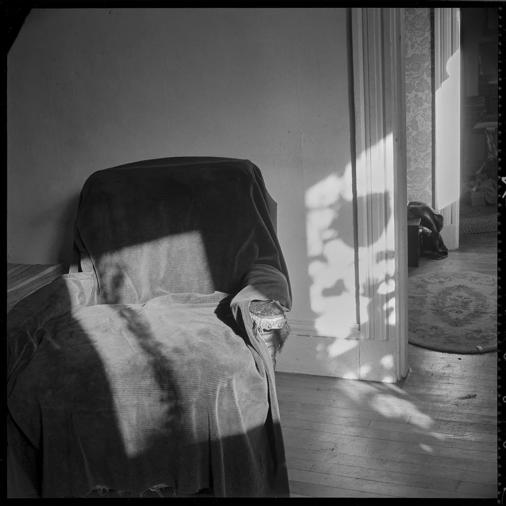 Judith Black - Where the Light Came in