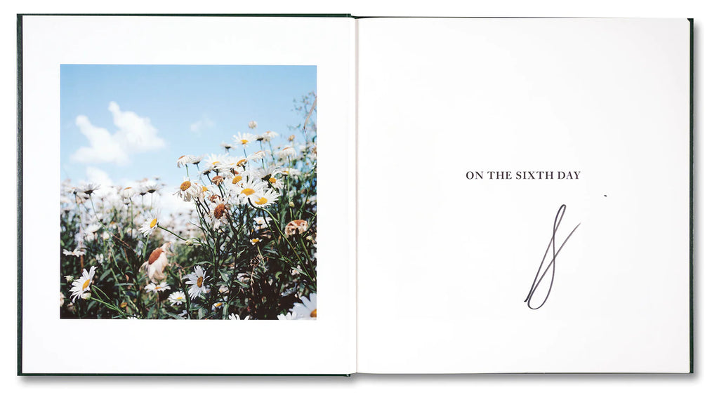 On the Sixth Day - Alessandra Sanguinetti *Signed
