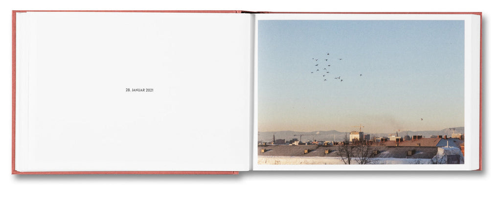 Open book showing a photograph of a cityscape with birds flying in the sky.