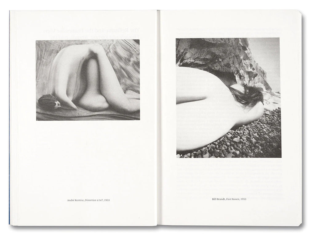 Painting Photography Painting: Selected Essays - Carol Armstrong