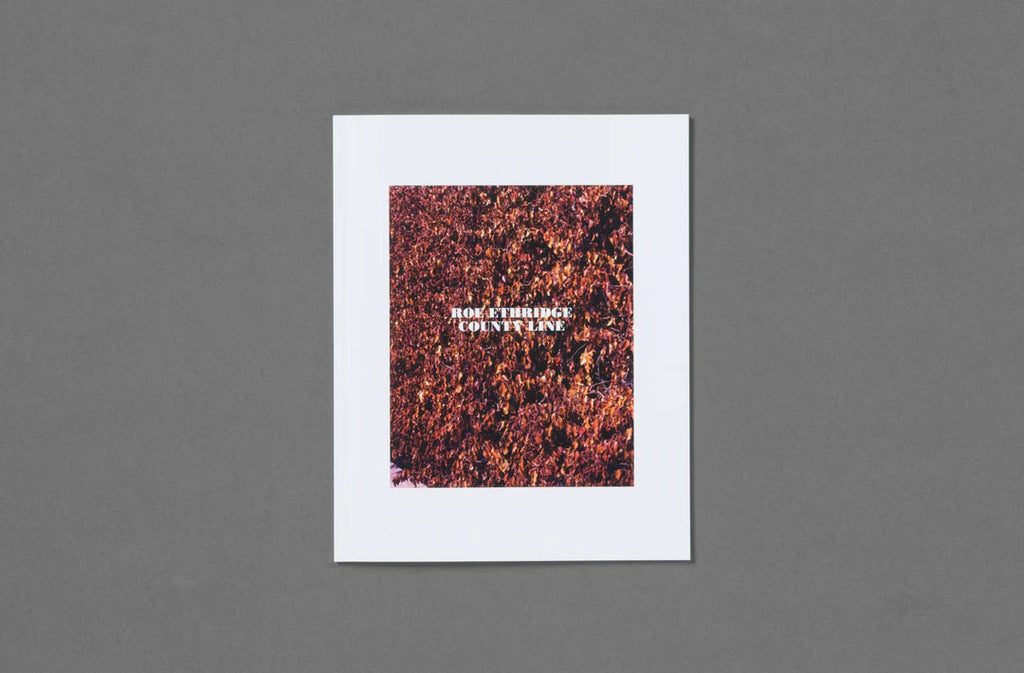 Book with image of white frame with a textured brown design and text on a gray background