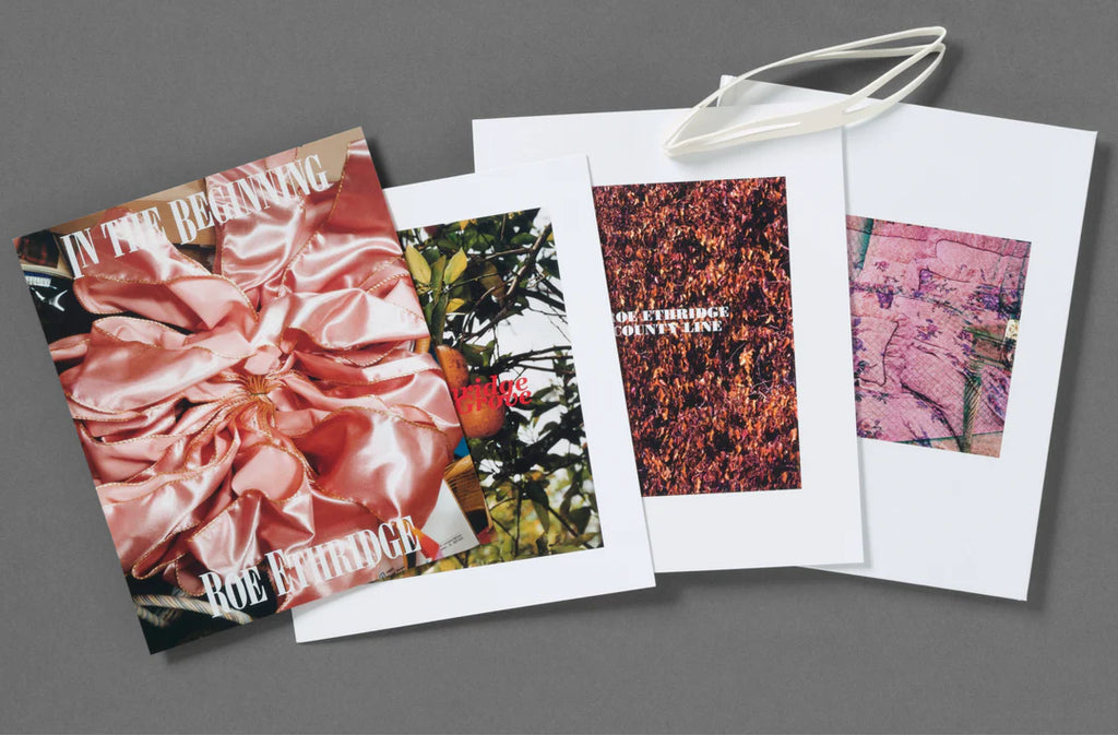 Collection of bookscontaineq within the "In the Beginning" book by Roe Ethridge on a gray background