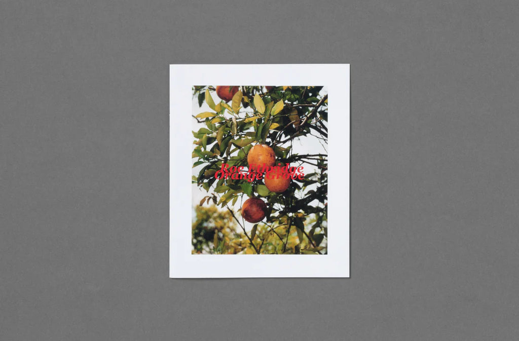 Bookcover with image of a fruit tree with oranges on a gray background