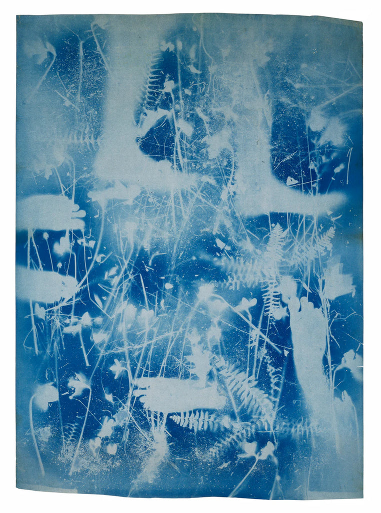 Robert Rauschenberg and Susan Weil - The Blueprints, 1950