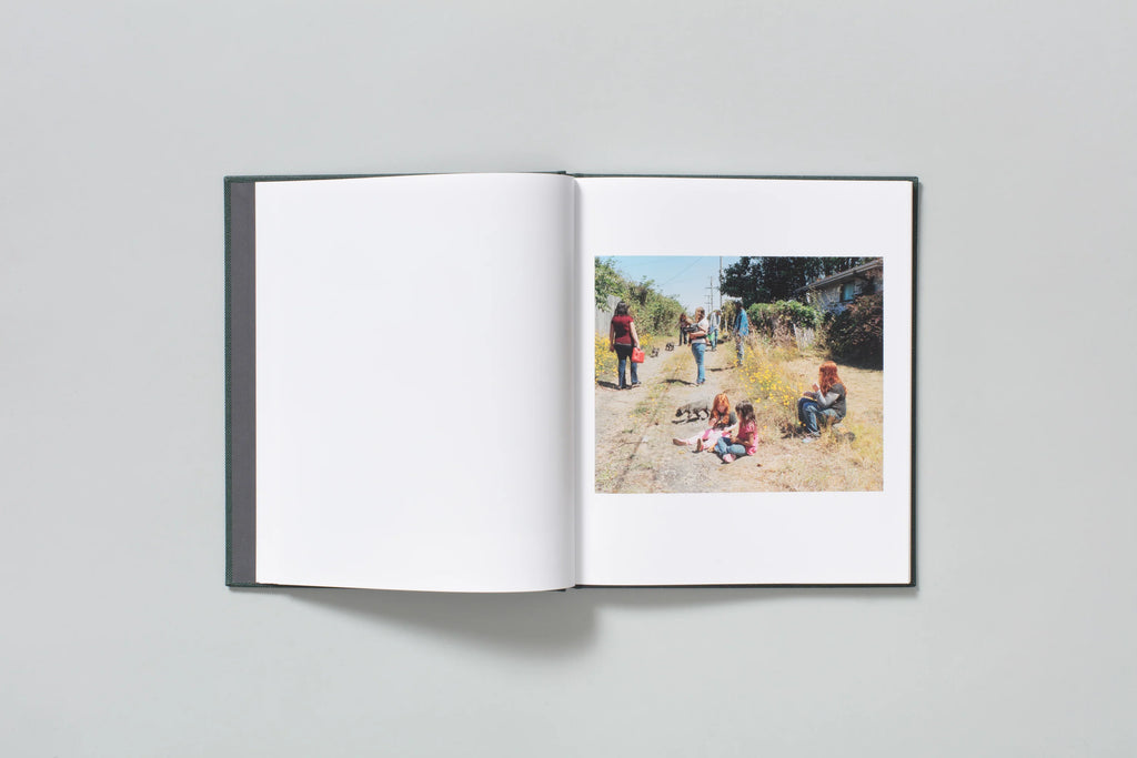 Lost Coast (Second Edition) - Curran Hatleberg