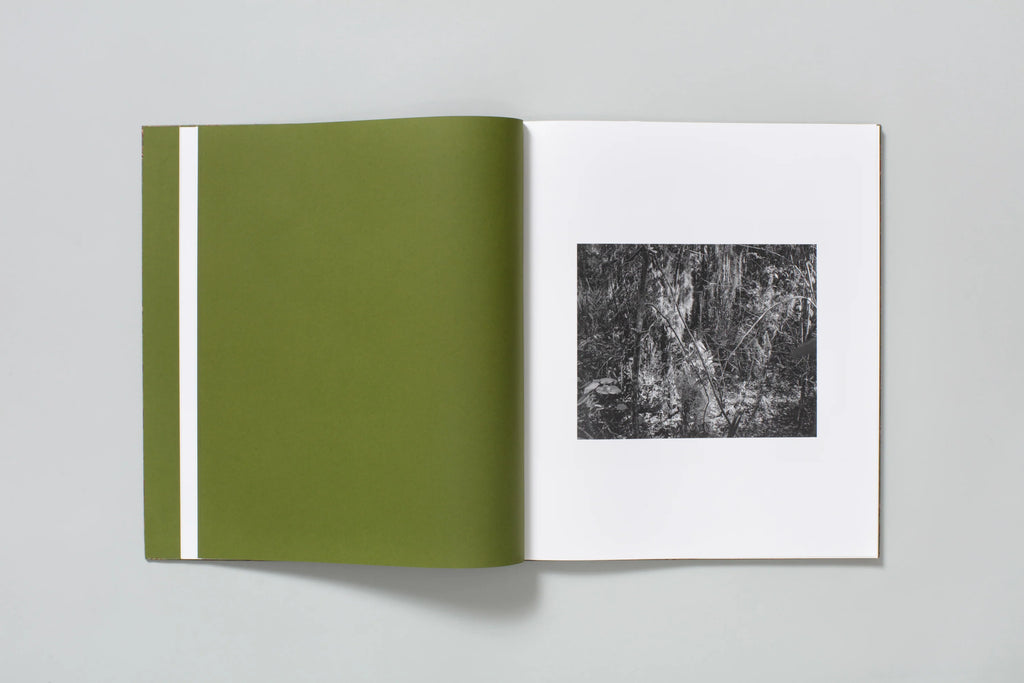 Blood Green - Curran Hatleberg