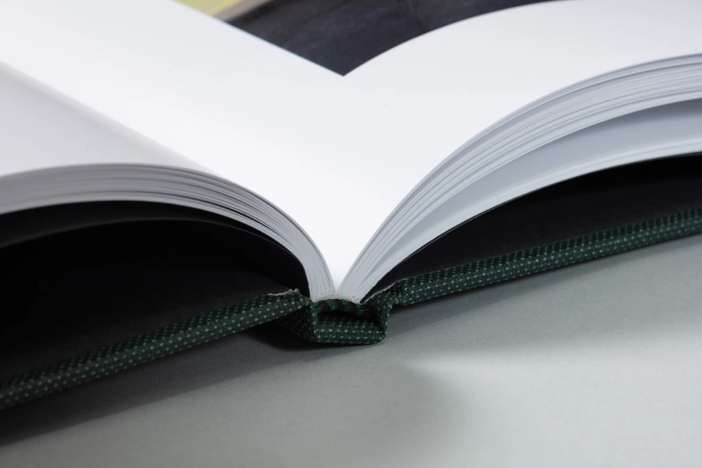 Lost Coast (Second Edition) - Curran Hatleberg