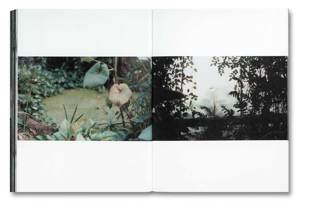 Urthworks - Ben Rivers *Signed