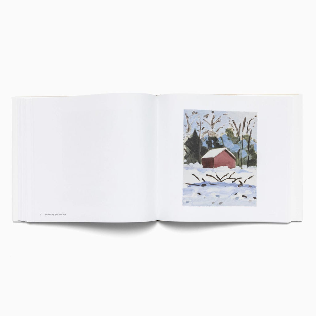 Maureen Gallace: Paintings on Paper