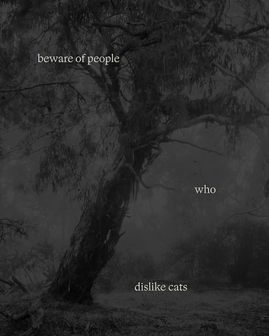 Beware of People who Dislike Cats - Morganna Magee