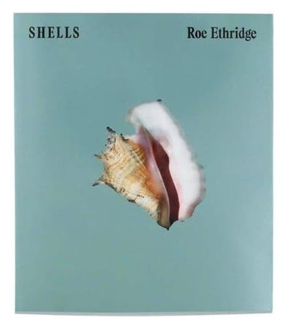 Shells - Roe Ethridge