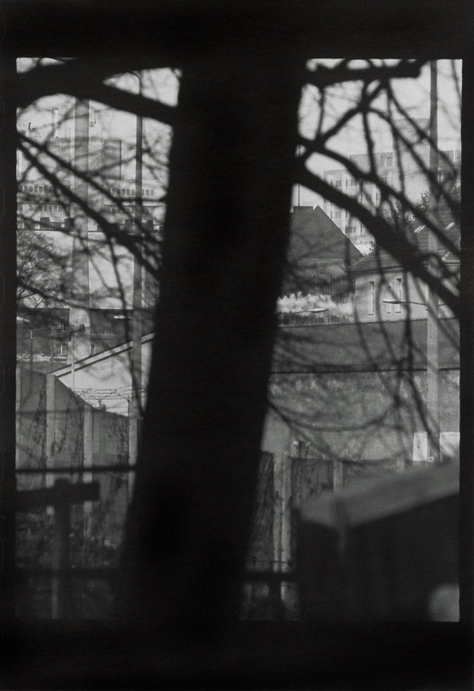black and white image of buildings and silhouette of tree.