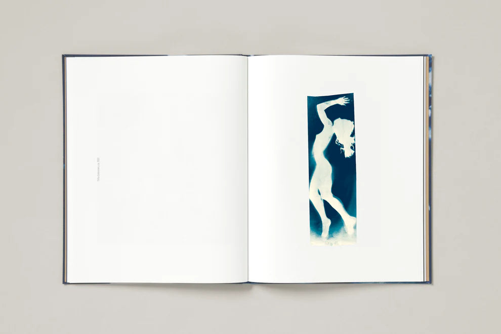 Robert Rauschenberg and Susan Weil - The Blueprints, 1950