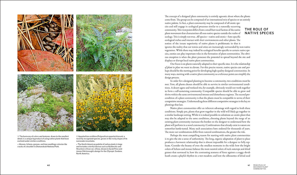 Planting in a Post-Wild World - Thomas Rainer