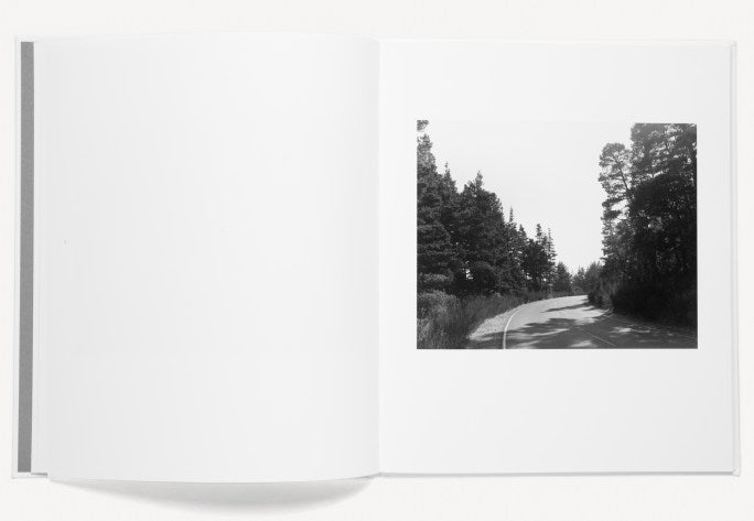 Robert Adams - A Road Through Shore Pine