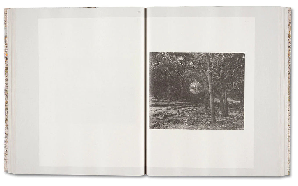 Gathered Leaves Annotated - Alec Soth