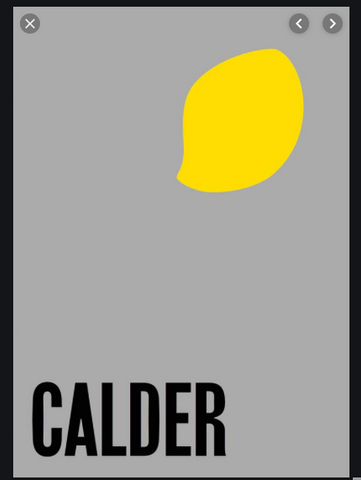 Alexander Calder: From the Stony River Book