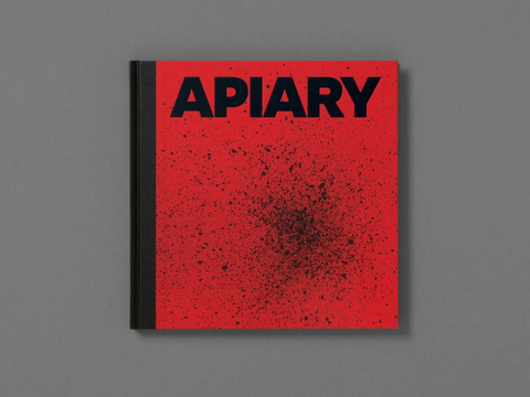 Apiary - Robin Friend