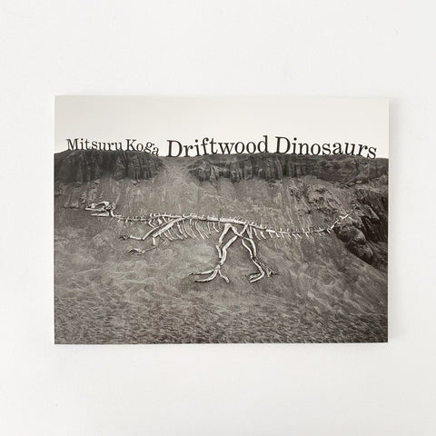 Mitsuru Koga - Driftwood Dinosaurs